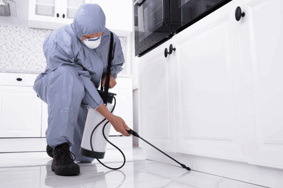 Pest Treatment
