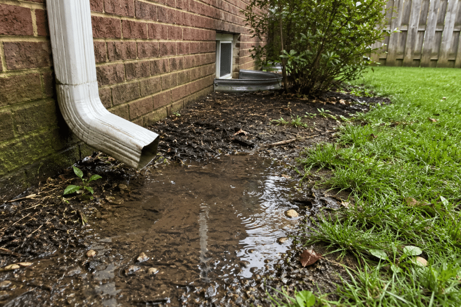Downspout discharging water into pooled area near foundation creating moisture conditions that attract pests