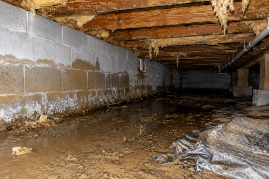 Damp residential crawlspace with standing water and visible moisture staining beneath wood framing